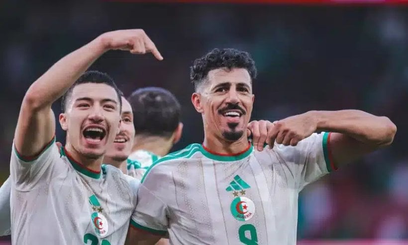 حمداني يدرس إعادة بونجاح إلى منتخب الجزائر